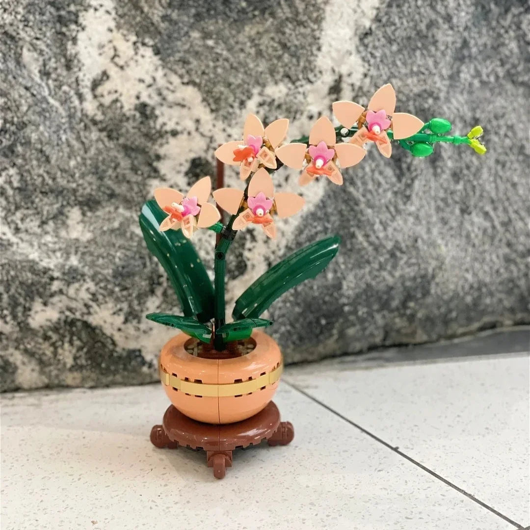 Orchid