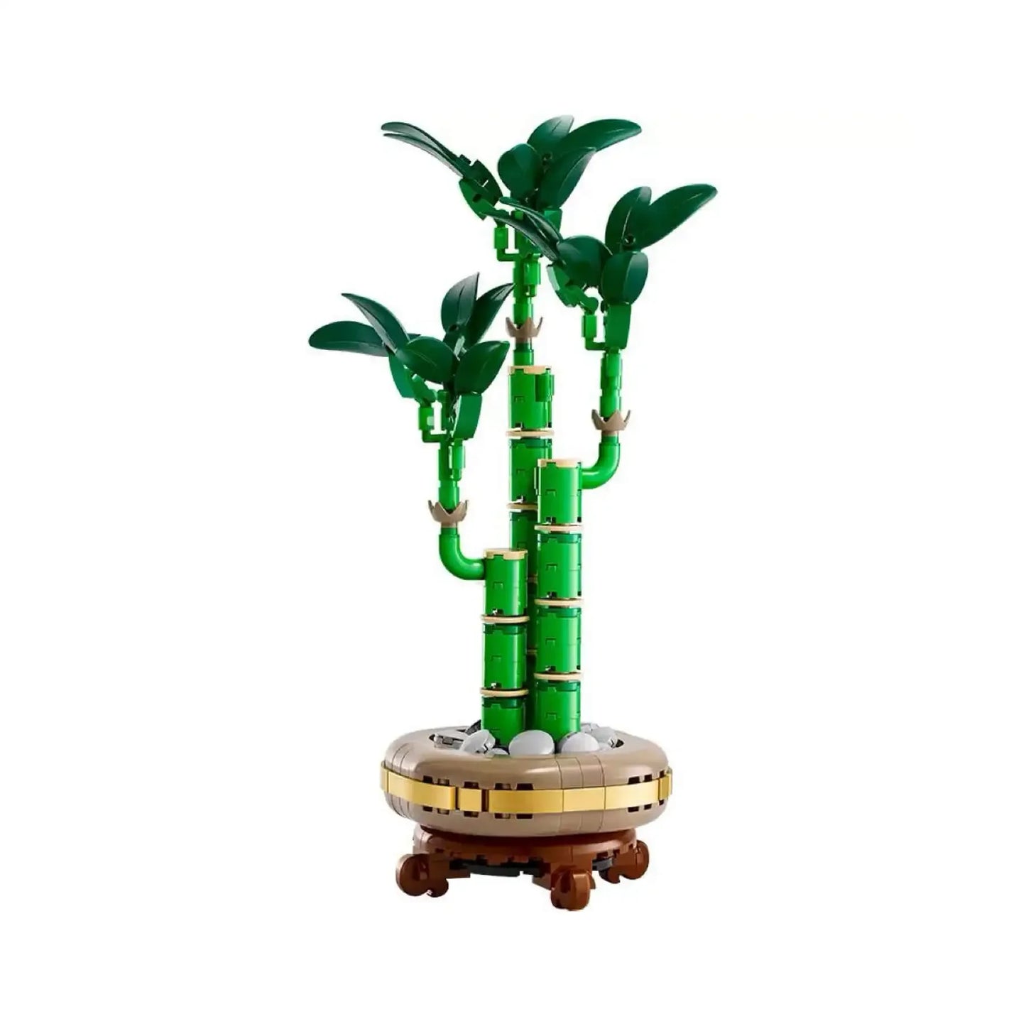 Bamboo